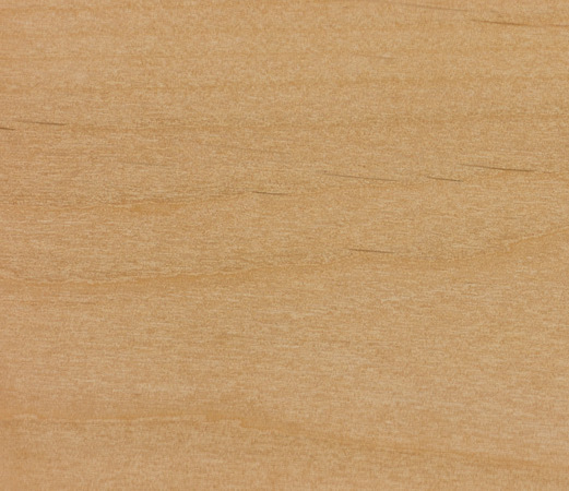 尖叶桤木（安第斯桤木）