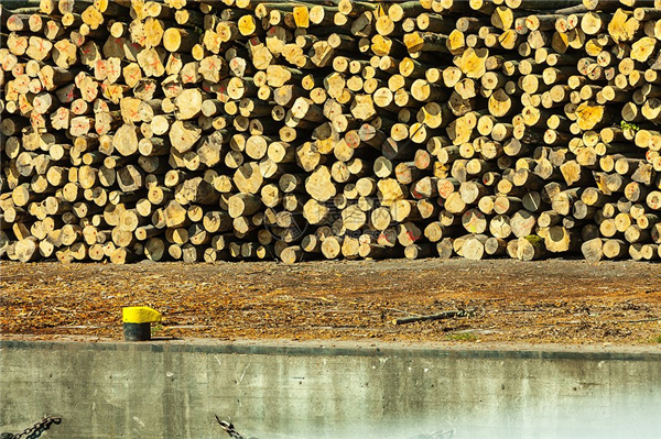 欧洲木材需求下降11%，2024年还会再降？