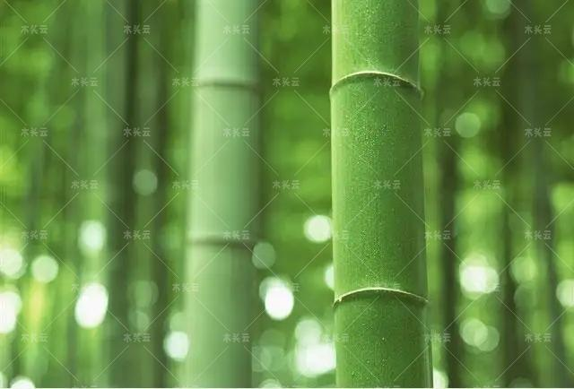 中英木材公司合作研发可替代木材的竹制品