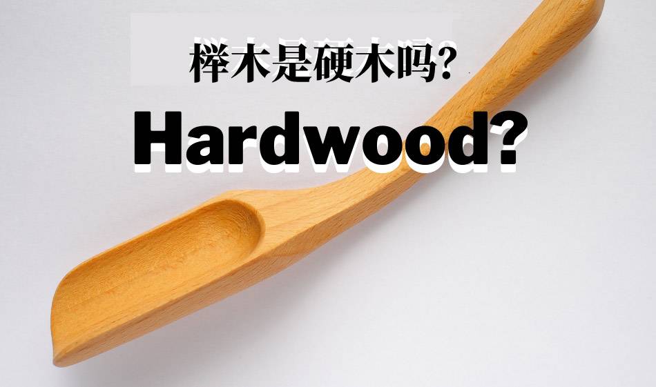 榉木是硬木吗？