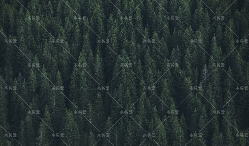 不认证俄木材？俄罗斯：那就自己做个认证体系