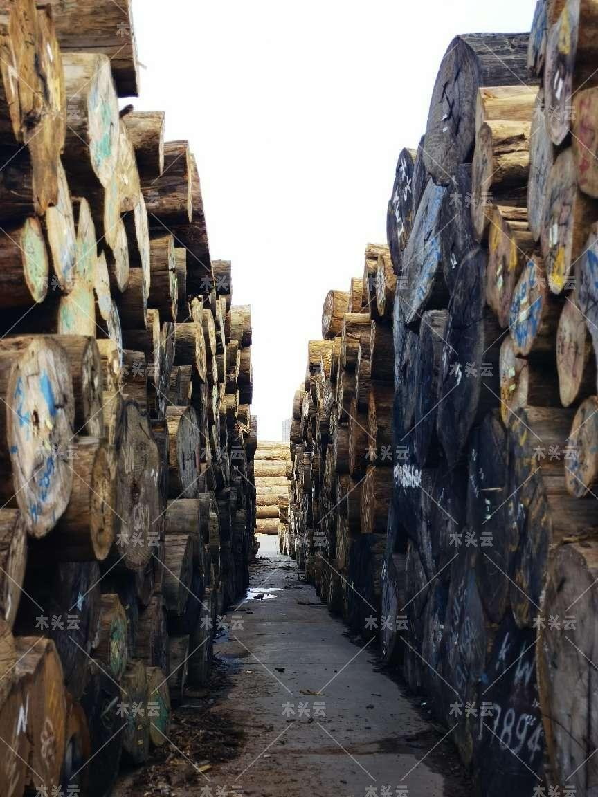 印度无法出口的木制品流入本地市场，市场价格被迫降低