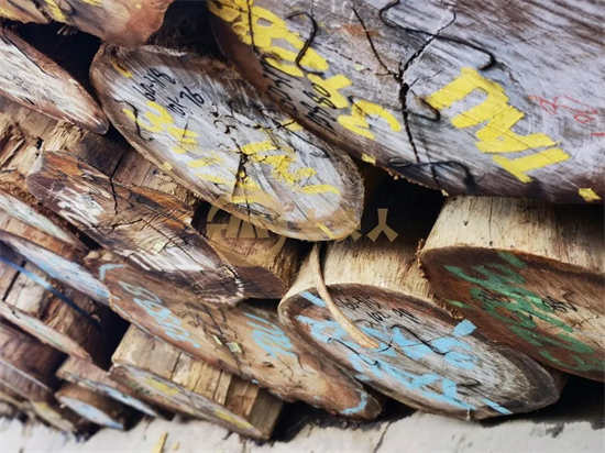 国际木材市场热门资讯，赞比亚木材都将通过拍卖竞标出口