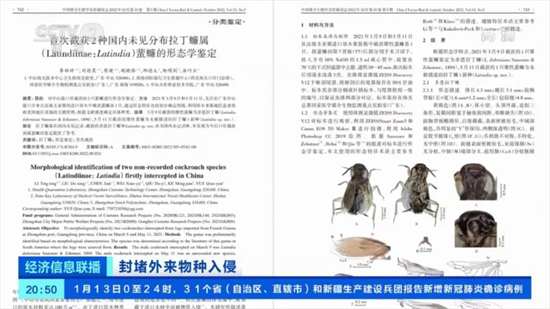全球首次报道!进口原木中截获特殊蜚蠊，为全球新物种