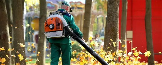 　树叶、稻草,为了填上能源短缺的空，欧洲人正在想尽一切办法