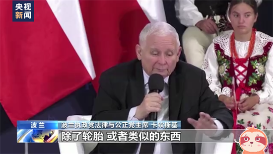 禁止电车驾驶，鼓励烧木柴，这个冬天的欧洲有点难