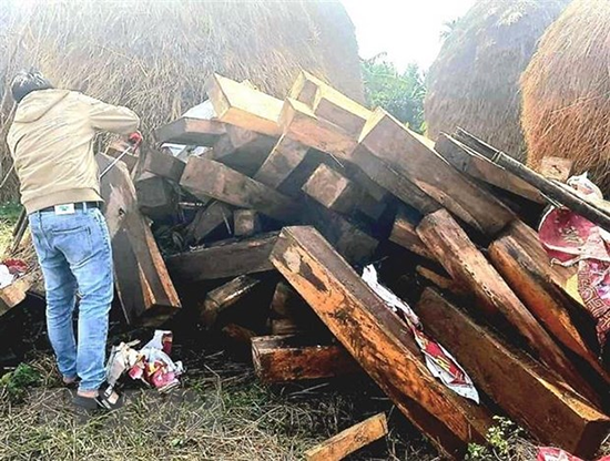 越南七旬老人家中搜出122根非法木材