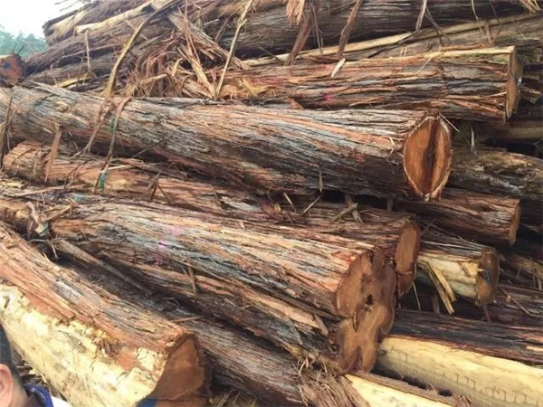 澳洲酸枝是什么木材