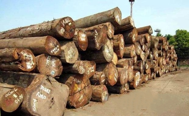 阿诺古夷苏木是什么木材