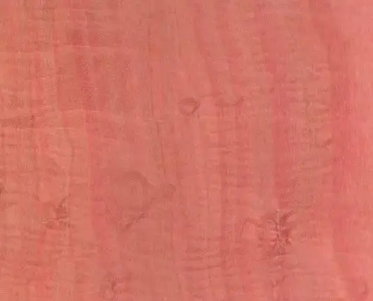 粉红象牙木是什么木