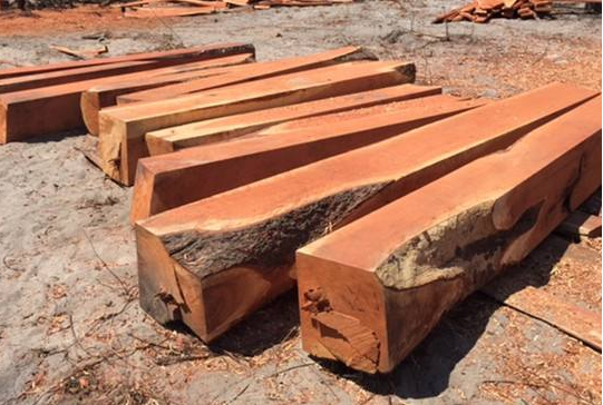 木材资讯_木材之家