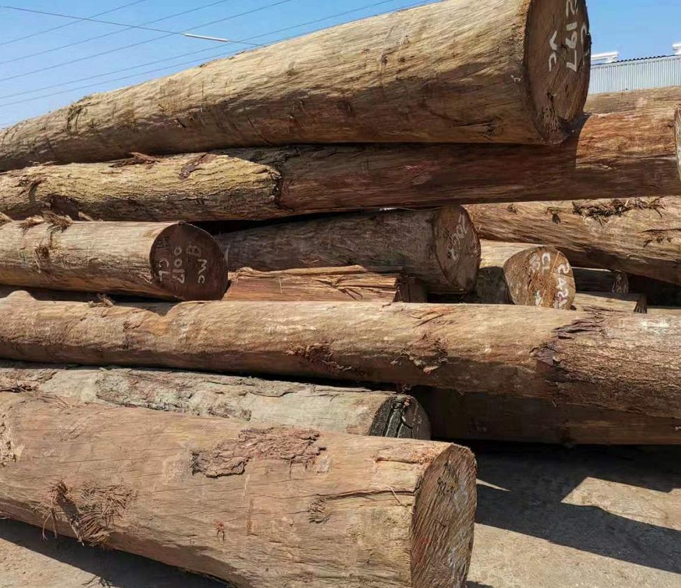 武汉港武湖港区总体规划调整方案