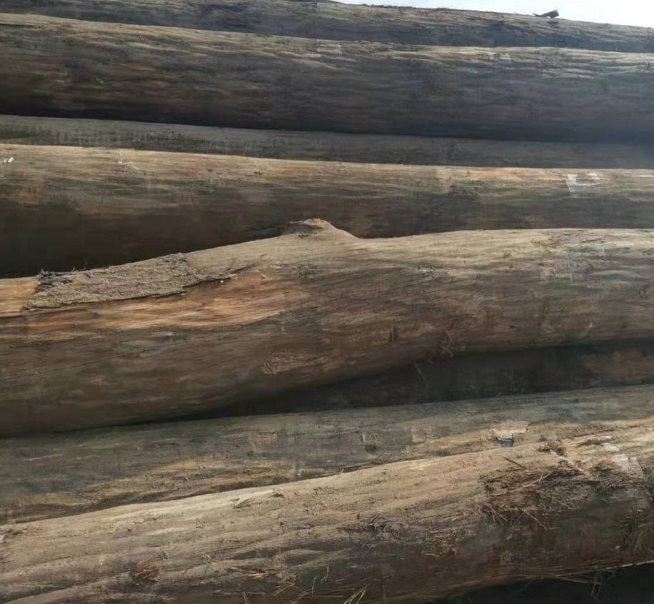 合板产量年均增速达15%，消费量年均增速下滑