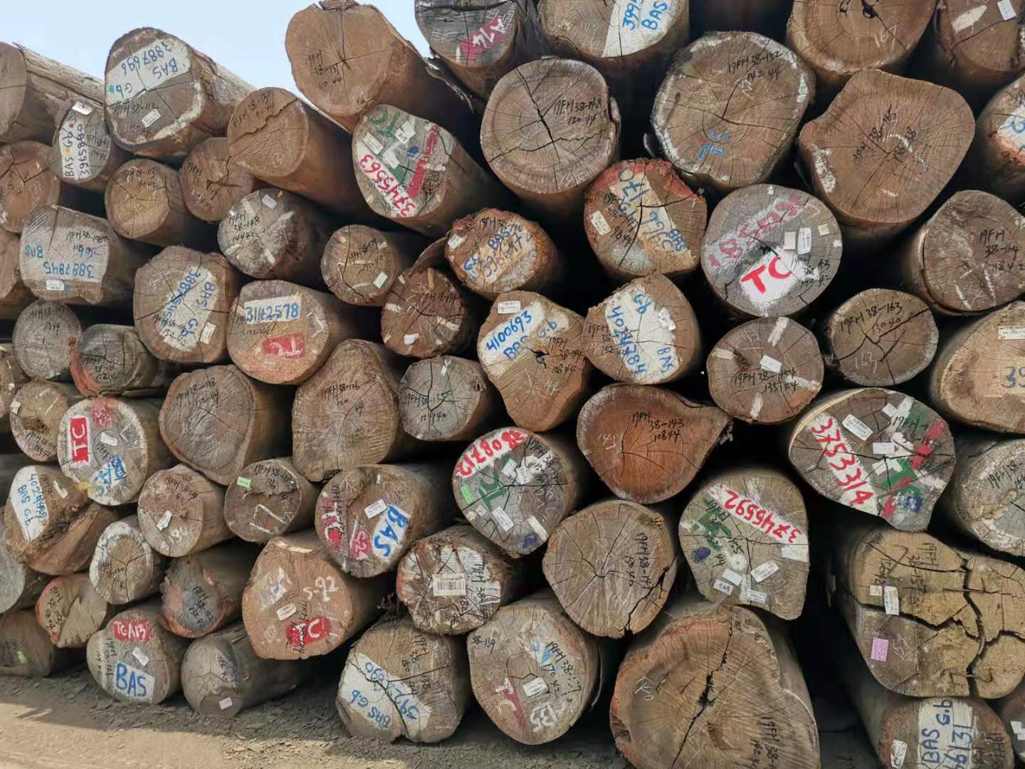 中俄木材加工交易中心在绥芬河启动建设