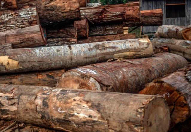 亚洲的锯木价格略有上涨