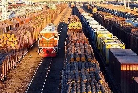 2019年底俄罗斯木材产品销售额情况