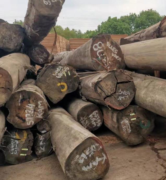 俄罗斯木材产量居全球首位为7%