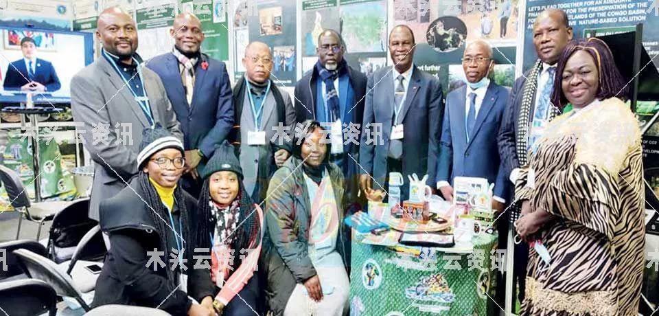  刚果：解除禁止授予新伐木特许权的禁令