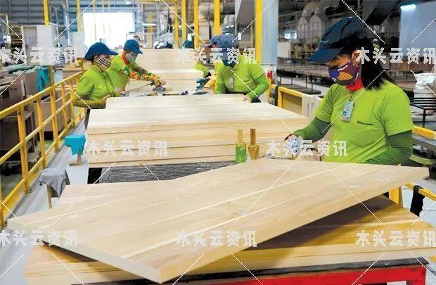 越南木材出口有望达145亿美元