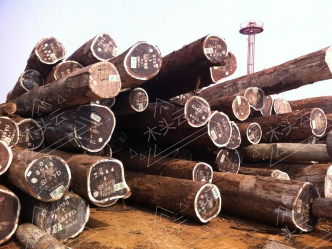 木材业占喀麦隆5.3%经济比重