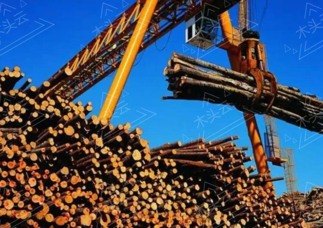 谁将占据中国木材供应大头？