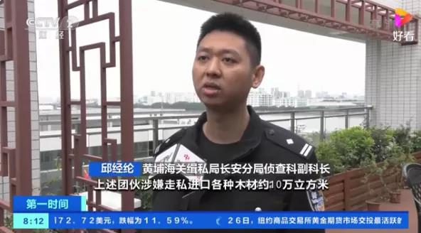 又一起木材走私案!案值超5亿