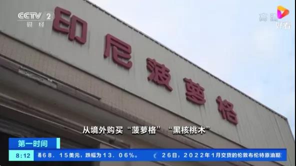 又一起木材走私案!案值超5亿