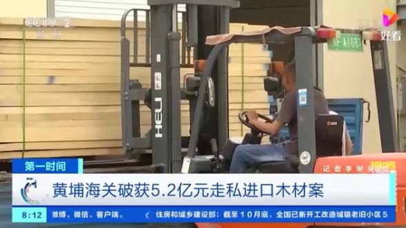 又一起木材走私案!案值超5亿