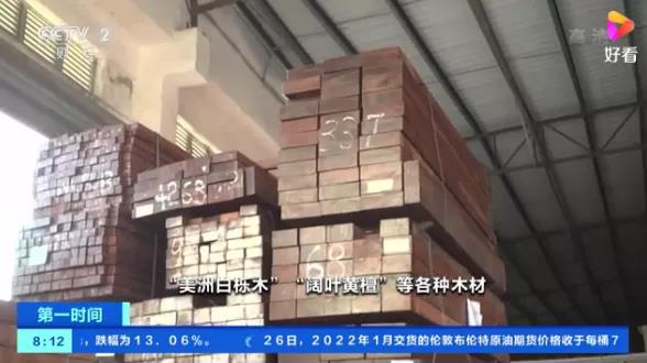 又一起木材走私案!案值超5亿