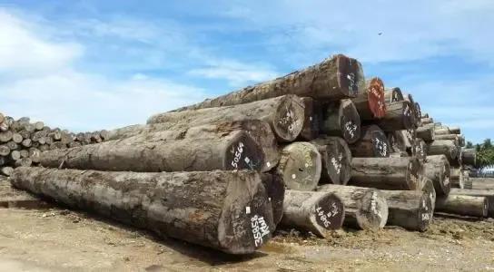 市场疲态尽显,张家港菠萝格原木价格下跌