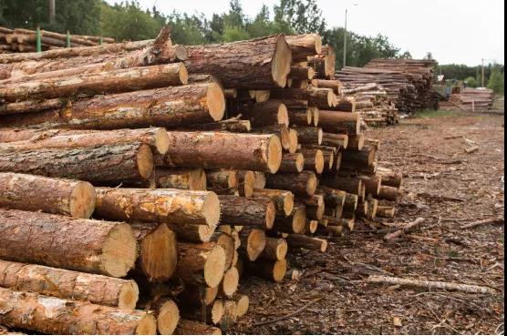 越南设定22年160亿美元林产品出口目标