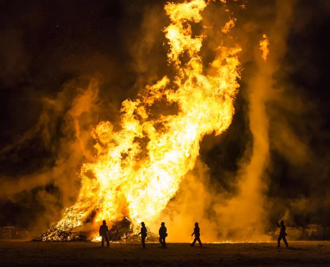 美国加州又起森林大火,已威胁林产品公司