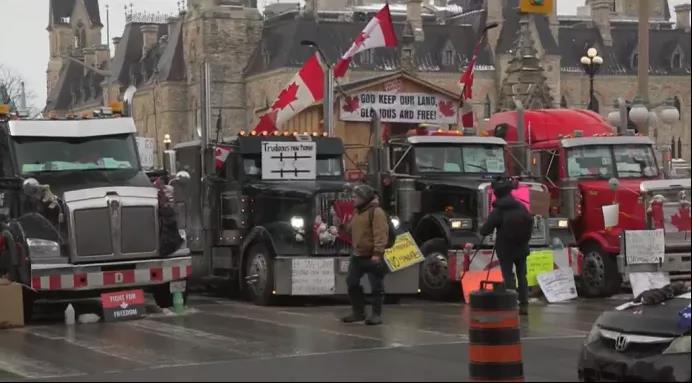 北美木材这是坐上过山车了?