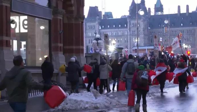 北美木材这是坐上过山车了?