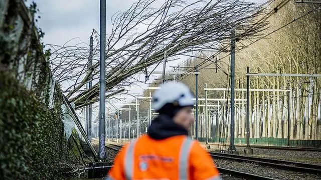 欧洲材进口成将本上涨
