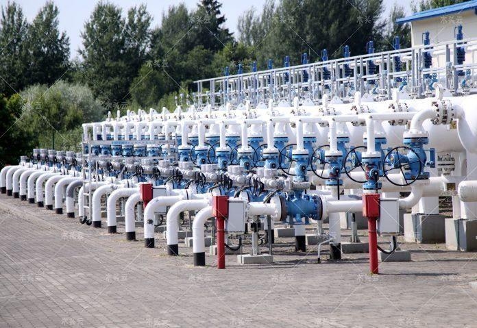 为了增加可燃烧用木片产量，拉脱维亚政府于6月21日星期二同意通过修正案，允许砍伐幼林中的树木。