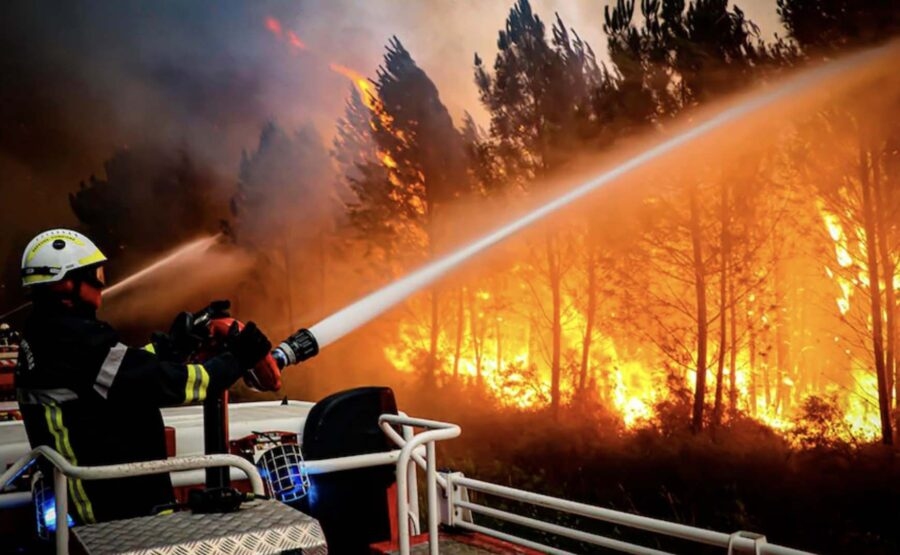 欧洲多国发生大规模野火事件，木材产量或将缩减！