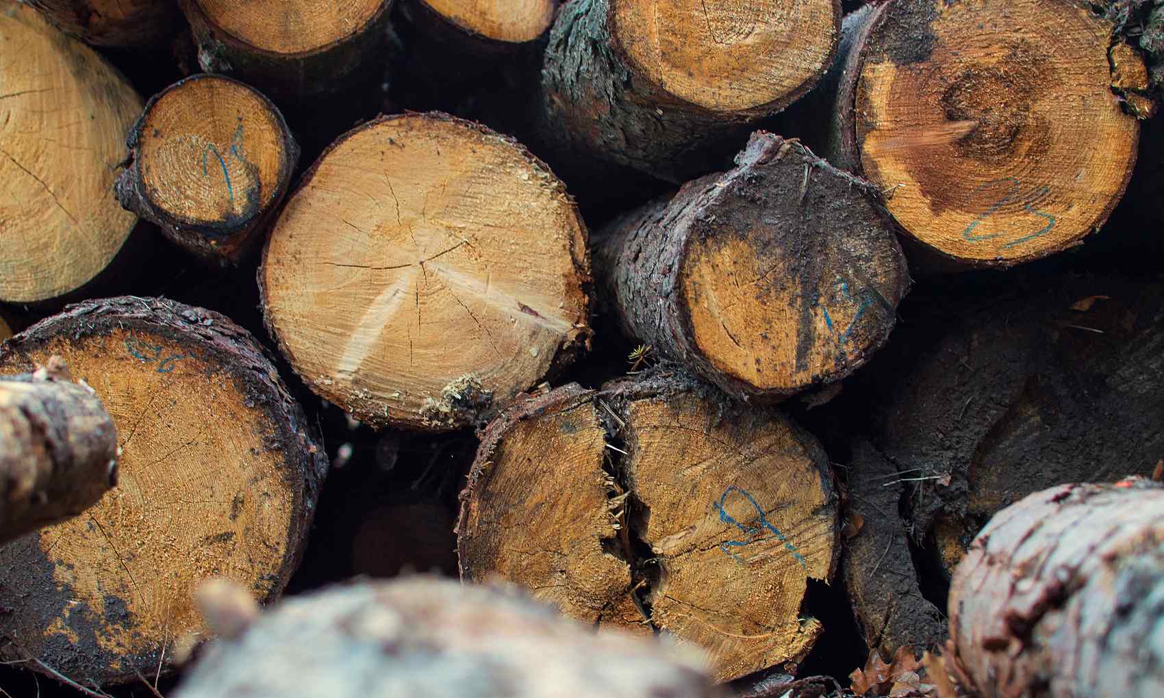 印尼对欧盟的木材产品出口仍然较小