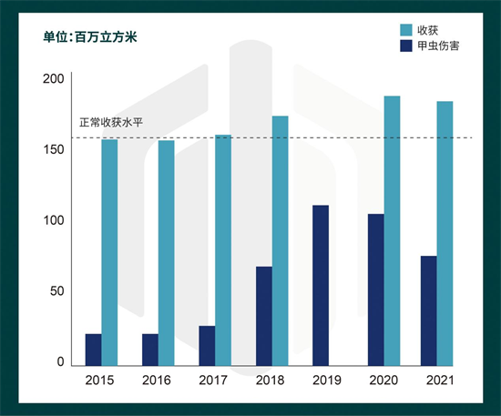 欧洲约3.6亿立方米木材遭到树皮甲虫损毁