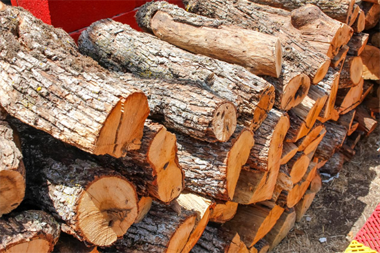 热带木材在欧盟市场的份额增加