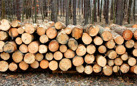 未来两个月，美国木材价格或将下降50%