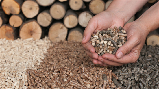 越南木材加工废料或将为其带来数10亿美元的收入