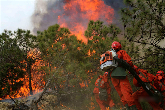 虽没有高温天气,但森林防火工作仍不可懈怠