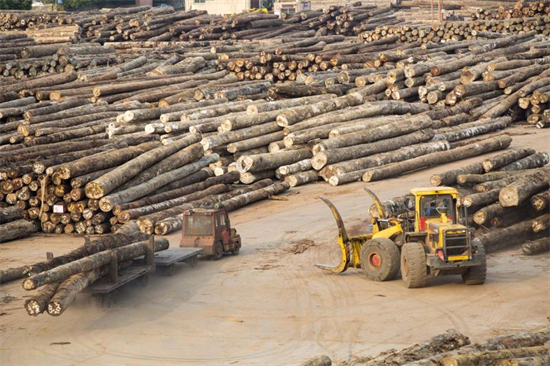 面对木柴价格飙升，罗马尼亚政府出手了