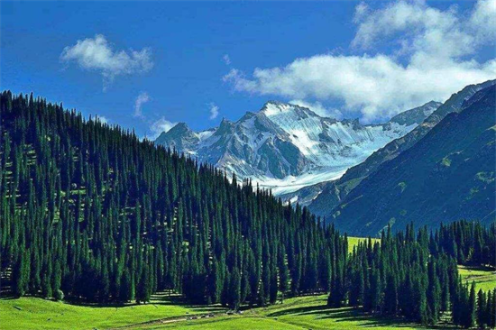 全球经济发展低迷,俄罗斯木材加工业投资增长30%