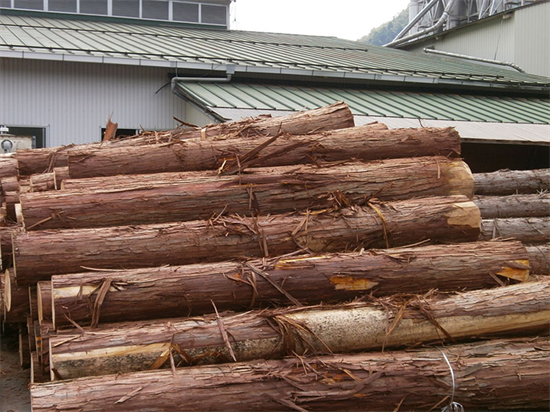 全球经济发展低迷,俄罗斯木材加工业投资增长30%