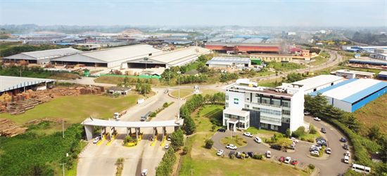 加蓬最大木材经济特区已成为国民经济最大贡献者