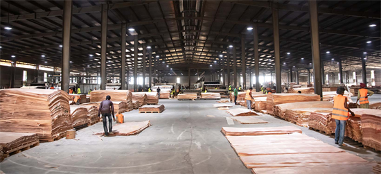 加蓬最大木材经济特区已成为国民经济最大贡献者