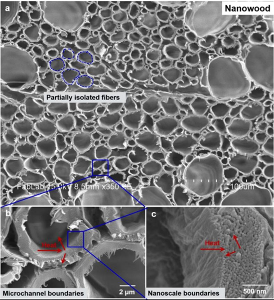 透明木材有望取代塑料和玻璃