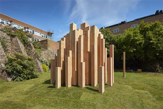 透明木材有望取代塑料和玻璃